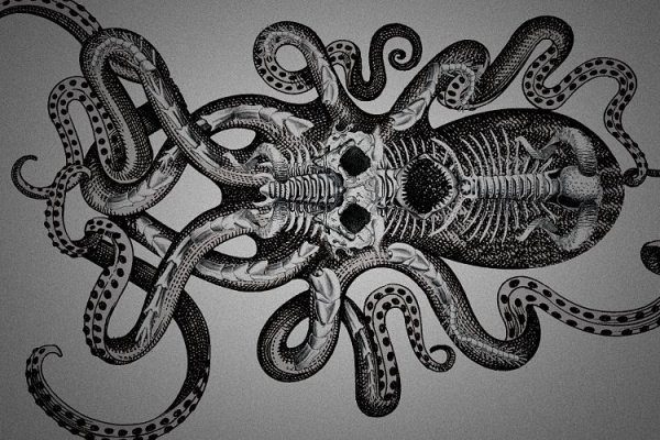 Kraken13.at