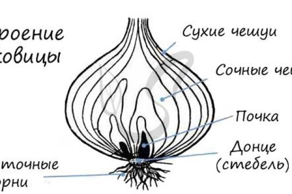 Кракен телеграмм канал